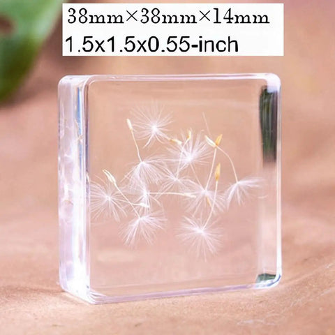 12 Pack Tiny Nature Plant Specimens In Resin For Crystal Clear Close Ups And Study, dandelion seeds in resin block, 1.5x1.5x0.55 inch