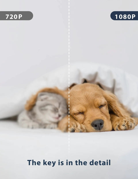 Indoor Pet Camera For Home, Baby Monitor And Dog Camera With Night Vision showing 720P vs 1080P image quality on sleeping pets