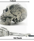 Realistic Halloween Skeleton Stakes Kit With Skull And Arm Props For Outdoor Yard Lawn Decor, 7.5-inch skull, side view
