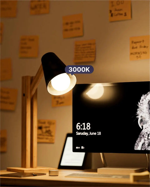 Super Bright A19 LED Light Bulbs 3W to 25W Equivalent 91 CRI Daylight 5000K 250 Lumens Dimmable E26 Medium Base in desk lamp