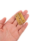 Brass Hinges For Wooden Boxes And Furniture Self Closing Cabinet Hardware Kit held in hand, showing retro design details