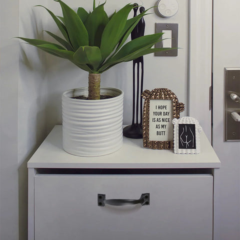 White cabinet with 8 Piece Black Barn Door Handles For Wooden Fences And Cabinets, potted plant, and decorative items on top