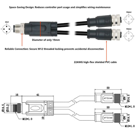 Diagram and photo of 4 Pin A Coded M12 Y Splitter Cable 1 To 2 For Industrial Automation Actuator Sensor DeviceNet CANopen PLC IO PVC Shielded