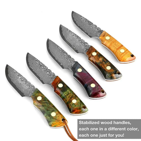 Set of Beast Damascus Steel Survival Knife with colorful wood handles, showing the Damascus-style high carbon stainless steel blades.