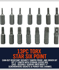 Rugged 14 Piece Tamper Resistant Torx Bit Set In S2 Alloy Steel T5 To T40 Security Star Bits with hexagonal shank layout