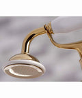 Chrome hand shower detail of Charleston Deck Mount Clawfoot Tub Filler With Hand Shower Six And A Half Inch Centerset Classic Charleston Vibe
