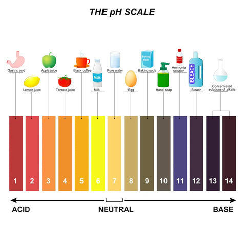 Image showing the pH scale with examples from acidic to basic. Two Pack pH Test Strips Universal Range 1 to 14 Litmus Paper Kit.