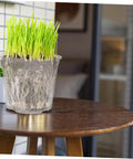 4 Pack Self Watering Flower Pots With Automatic Water Absorbing Design Easy Maintenance Planters For Healthy Plants Ideal Indoor Garden Pots For Home Office Or Apartment Decor,透明 plastic pot