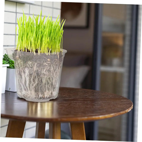 4 Pack Self Watering Flower Pots With Automatic Water Absorbing Design Easy Maintenance Planters For Healthy Plants Ideal Indoor Garden Pots For Home Office Or Apartment Decor,透明 plastic pot