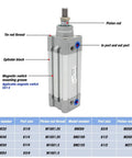 Diagram showing Aluminum Standard Air Cylinder With 40mm Bore DNC 40 Series Double Acting Pneumatic Cylinder PPV A Built Tough.