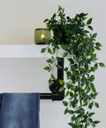 Top Shelf 3/4 Inch Black Malleable Iron Floor Flange 10 Pack supports a shelf with green plants and hanging denim.