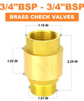 Brass 3/4 BSP check valve with male and female threads for backflow prevention.