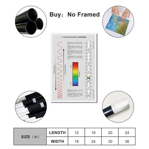 Electromagnetic Spectrum Cheat Sheet Canvas Poster Unframed 16 By 24 Inches, showing size options and rolled canvas details