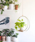 Golden Macrame Hanging Planter For Indoor Outdoor Plants With Wood Stand displayed with green plant, wall art, and shelf.