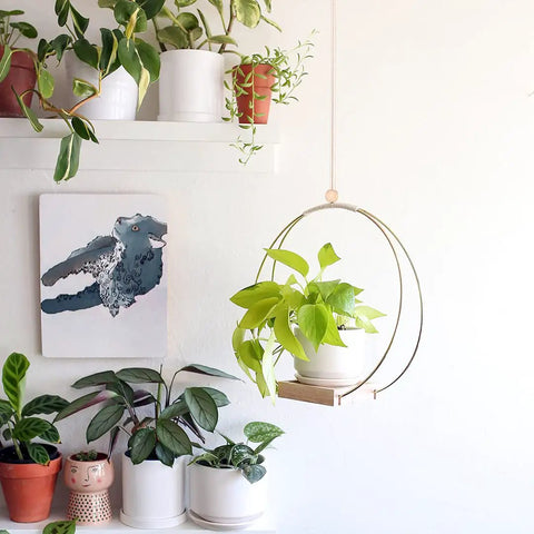Golden Macrame Hanging Planter For Indoor Outdoor Plants With Wood Stand displayed with green plant, wall art, and shelf.