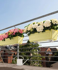 Six Pack Window Box Planters Set 17 Inch Long Rectangular Plastic Planter Boxes With Tray For Indoor Outdoor Use on balcony
