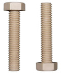 Pro Grade PEEK Hex Head Screws M14X110, two heavy duty plastic fasteners with hex heads, for electronics and shop builds.