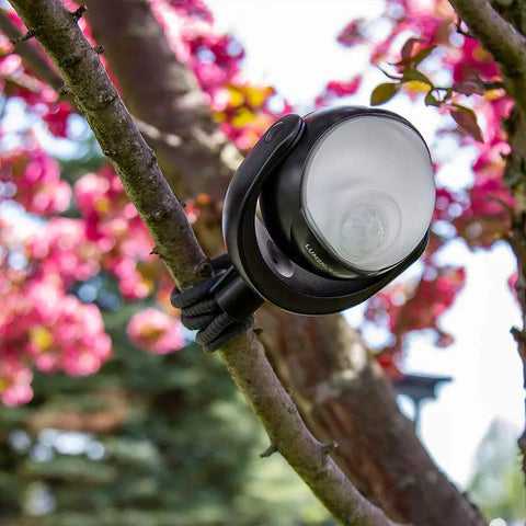 Portable LED Motion Sensor Light With 148 Lumens on tree, flexible tripod grip, focus on design, outdoor setting