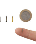 500 Pack Tiny Round Head Nails For String Art And Woodworking 10mm Length 1mm Thread Diameter Iron Silver Finish Mini Nails For Diy And Handmade Projects next to a coin for scale