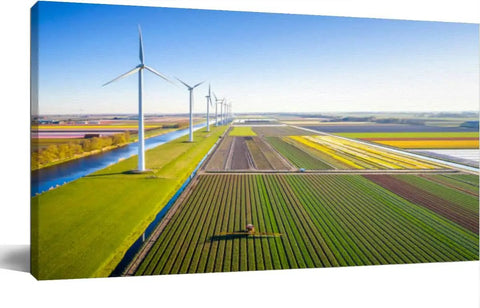 20x40 Inch Canvas Wall Art Large Farm Field Scene With Crops Sprayer And Tulips In Spring For Living
