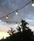 Outdoor string lights hanging above trees at sunset
