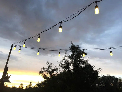 Outdoor string lights hanging above trees at sunset