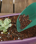 All-Purpose Plastic Garden Soil Scoop Shovel pouring soil into a planter with a succulent, Lightweight Portable Digging Tool
