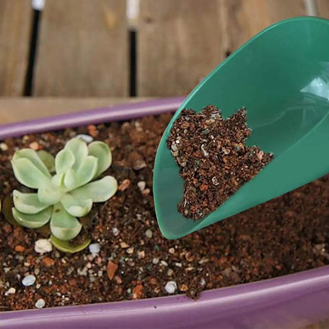 All-Purpose Plastic Garden Soil Scoop Shovel pouring soil into a planter with a succulent, Lightweight Portable Digging Tool