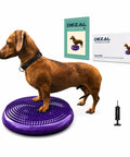 Dog on purple Balance Disc Cushion 14 Inch For Dogs With Pump And 2 Rehab Exercises Anti Burst Portable Dog Therapy Disk