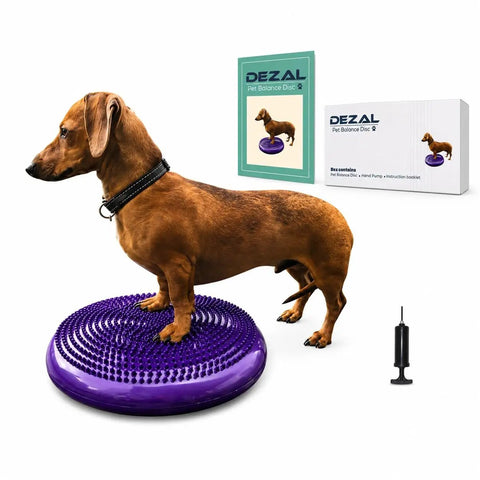 Dog on purple Balance Disc Cushion 14 Inch For Dogs With Pump And 2 Rehab Exercises Anti Burst Portable Dog Therapy Disk