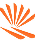 4 Inch Plastic Arrow Vanes Fletching For DIY Arrows, Orange, 50 Pack, Lightweight and Durable TPU Streamlined Vanes for High Wind Stability