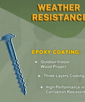 Exterior Pocket Hole Screws Blue Coated For Outdoor Use, shown with epoxy coating and weather-resistant features.