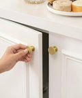 10 Pack Brushed Brass Cabinet Knobs Round Gold Drawer Knobs Kitchen Cabinet Handles Solid Zinc Alloy Pulls For Bathroom Dresser Hardware Beefy Durable Smooth Satin Finish Easy Install Timeless Modern Kitchen Update on white cabinet door
