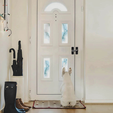 White dog looking out a windowed front door with black boot and umbrella on the side, indoor view.