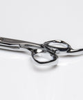Polished Silver Japanese Steel Hair Cutting Shears With Beveled Blade For Wet And Dry Hair, close-up of handle and blade details