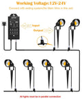 Five Watt LED Low Voltage Landscape Lights Kit With 12V And 24V Transformer diagram showing connection setup