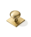 10 Pack One And A Half Inch Brushed Brass Cabinet Knobs With Backplates Satin Gold Dope Vintage Look For Cabinets Drawers Closets And Bi Fold Doors Do It Yourself Home Upgrade