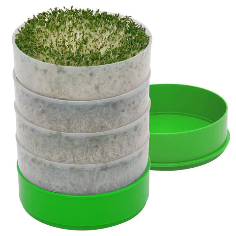 Deluxe Seed Sprouter With Four Growing Trays And Seed Packets For Indoor Sprouting Alfalfa Sprouts Fast No Soil Needed Water Flow System