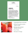 Gladiator Hybrid Red Tomato Seeds For Home Garden Non GMO Indeterminate Slicing And Paste Tomatoes 8 Oz Fruit Easy To Grow