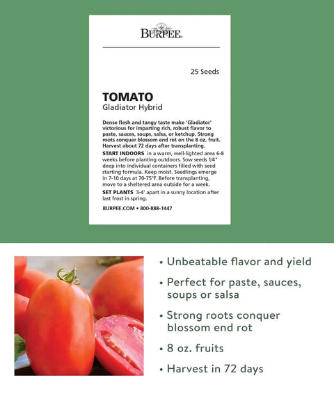 Gladiator Hybrid Red Tomato Seeds For Home Garden Non GMO Indeterminate Slicing And Paste Tomatoes 8 Oz Fruit Easy To Grow