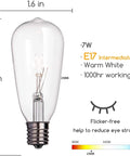 24 Pack Edison Style Replacement Bulbs For Outdoor String Lights 7W E17 ST40 Clear Glass Lamps Warm White 2300K Waterproof