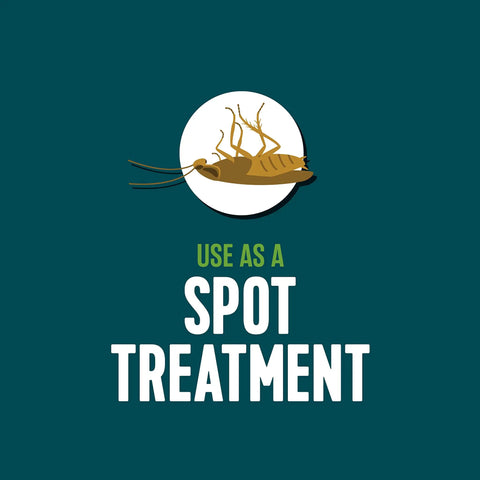 Home Insect Control Ready To Use Spray Kills Ants, Cockroaches And Spiders For Indoor And Outdoor Use, 64 Ounces Spot Treatment Graphic