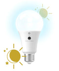 Dusk To Dawn Outdoor A21 LED Bulb 13W Daylight White 3 Pack Automatic On Off Security Lighting Easy Install No Fuss In Standard E26 Socket