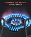 Powerful wok burner of the Two Burner Camping Stove With Up To 130,000 BTU Per Burner Heavy Duty Outdoor Gas Stove