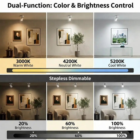Magnetic Rechargeable Picture Light 2 Pack With Remote And Touch Control showing color and brightness options for artwork display