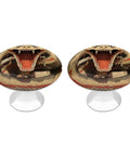 Two Pack Vintage Snake Open Mouth Cabinet Knobs in stainless steel for cabinets and drawers durable rust resistant pull handles