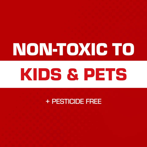 Non-toxic Kids & Pets safety message on red background, pesticide-free label for Heavy Duty Mouse Glue Traps With Eugenol For Rock Solid Grip And Instant Pest Control Pack Of Six Professional Strength Rodent Sticky Boards For Nasty Critters And Pesky Kitchen Crawlers.