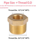 Brass NPT reducer hex bushing, 1/2 in male x 1/4 in female, two-pack