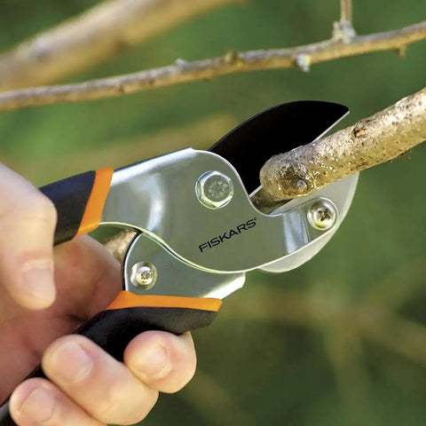 Power-Lever Anvil Pruner, 5/8-Inch Cut Capacity, Heavy-Duty Branch Cutter trimming a small dry branch in garden