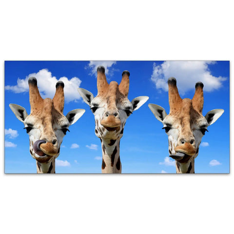 Funny Giraffe Heads Sky View Skylight Film Filter For Drop Ceiling Fluorescent Light 2x4 Feet, giraffes under blue sky